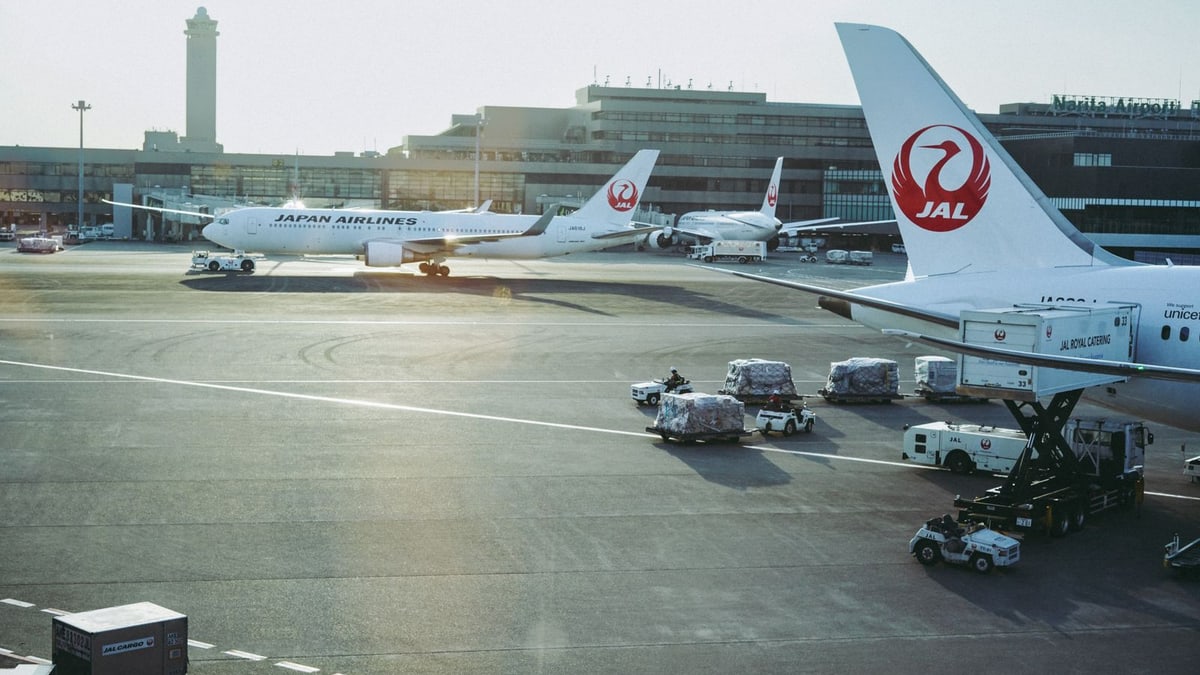Air freight cargo handling at an airport terminal