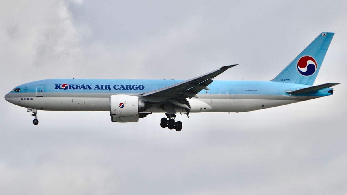 Air freight cargo handling at an airport terminal